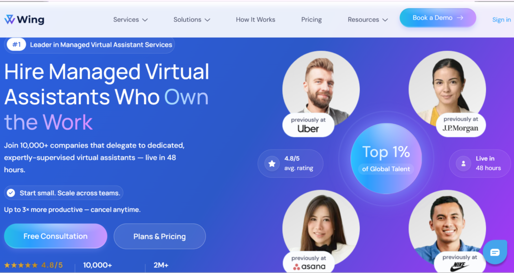 Wing Assistant — Best Budget Managed Option